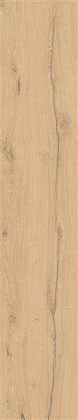 TH2.0 Robur Honey  (20MM)