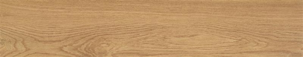 Amberly Oak