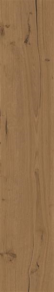 TH2.0 Robur Cocoa 20MM