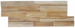 Manaos 1