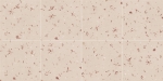 Fragmenta Coral