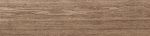 Amazon Brown