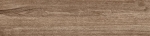 Amazon Brown