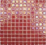 Acquaris Pasion 2,5X2,5