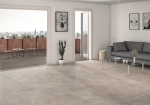 Assen Grey RTT