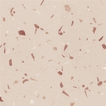 Fragmenta Coral