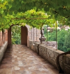 Abadia Decor Hex