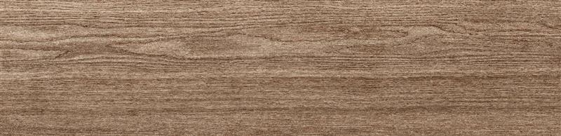 Amazon Brown